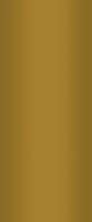 Ukončovací L lišta Cezar hliník eloxovaný zlatý 12,5mm 2,5m